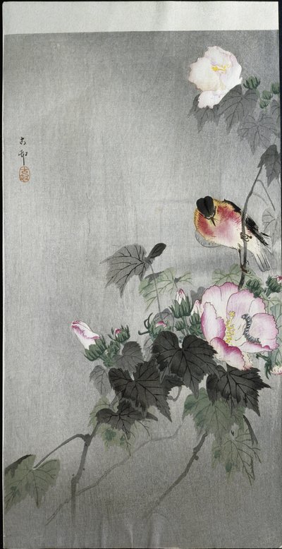 Schwarzkehlchen und blühende Blume, 1907 von Ohara Koson